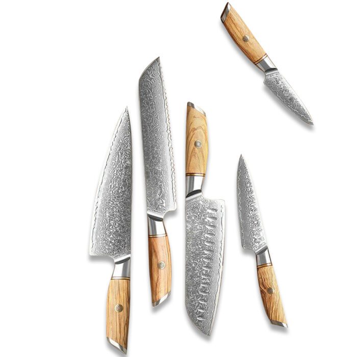 5PCS Damascus Steel 73 Layers Raindrop Knife Set With Pakka Wood Handle