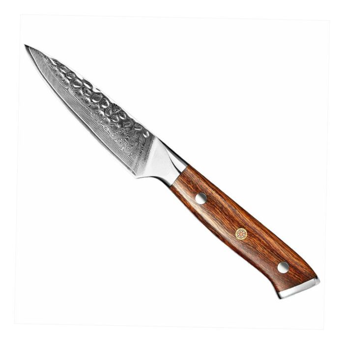 Dskk B13d Professional Kitchen Damascus Knife Set With Desert Iron Wood Handle